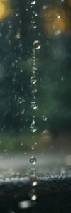 ECK - rain water rain water