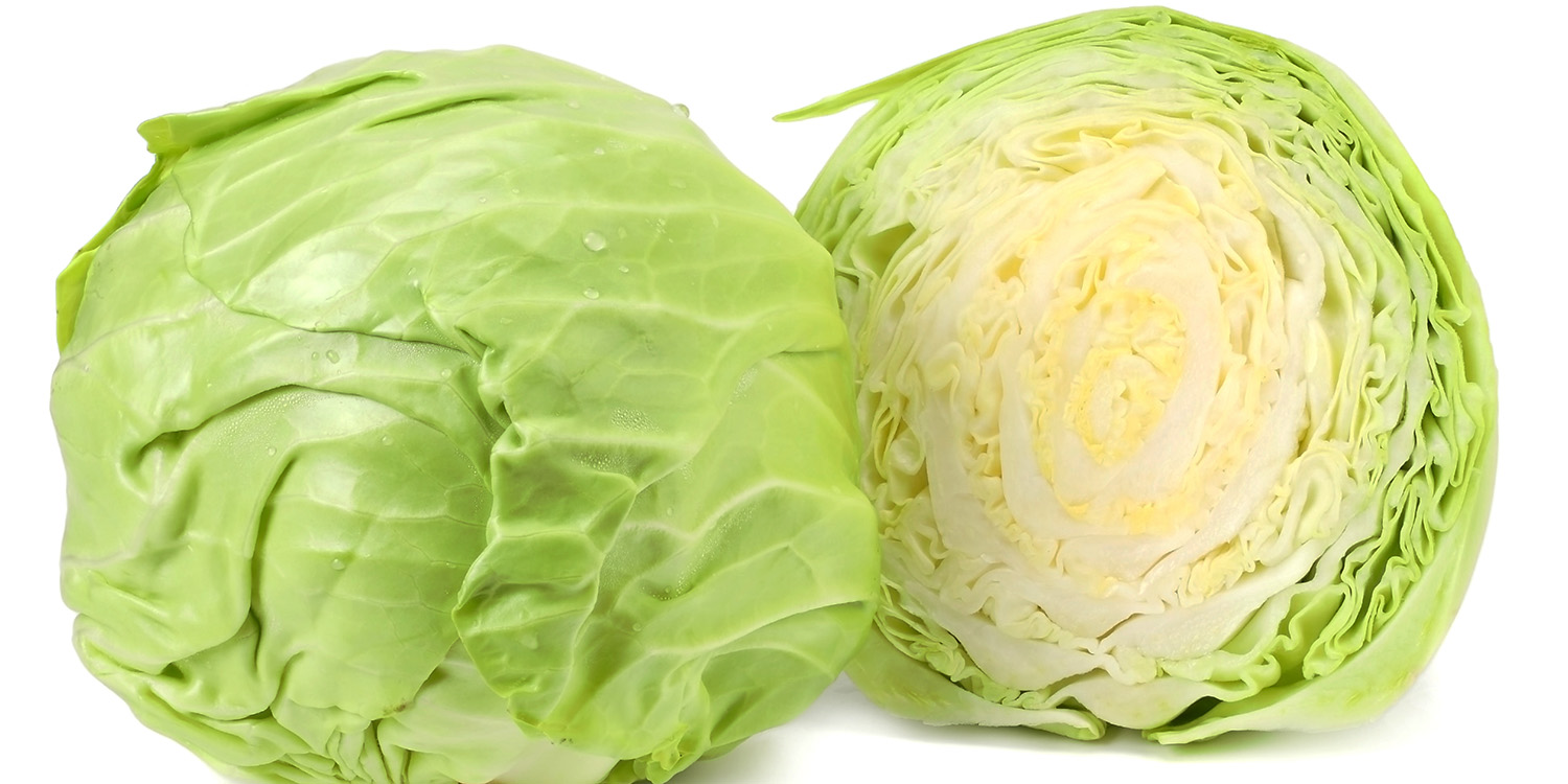 Frozen Cabbage Leaves | IQF Whole Leaf Supplier | Eckert